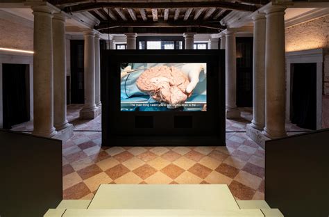 fondazione prada venezia human brains|human brains venice.